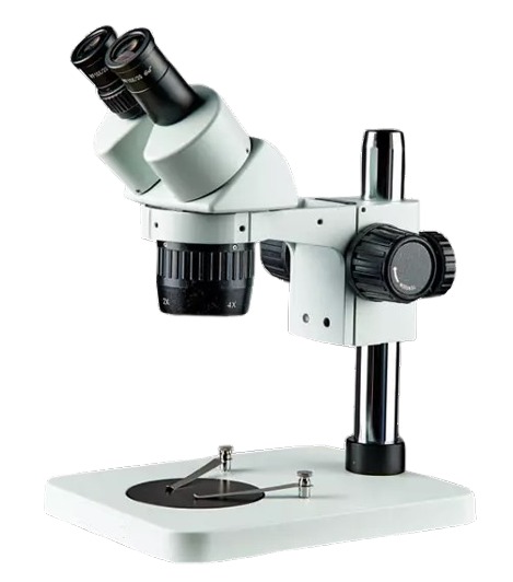Stereoscopic Microscope